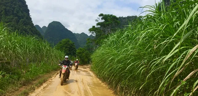 Best Time to motorbike in Vietnam