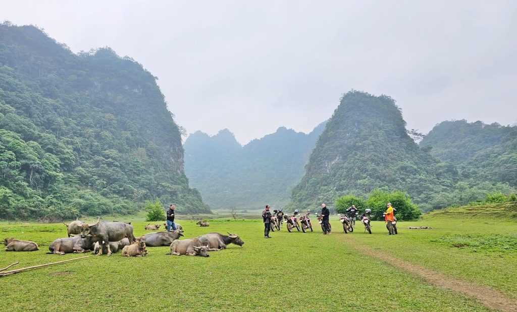 Vietnam motorcycle tours