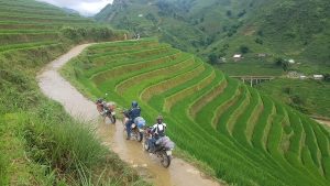 Rice terraces in Mu Cang Chai | Motorbike Tour Expert 