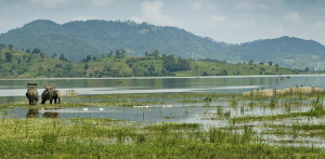 Lak Lake