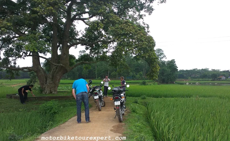 vietnam motorbike