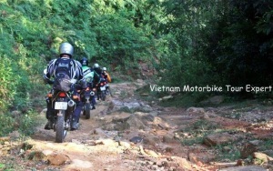 Motorbike Vietnam