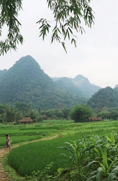 Lam Thuong valley