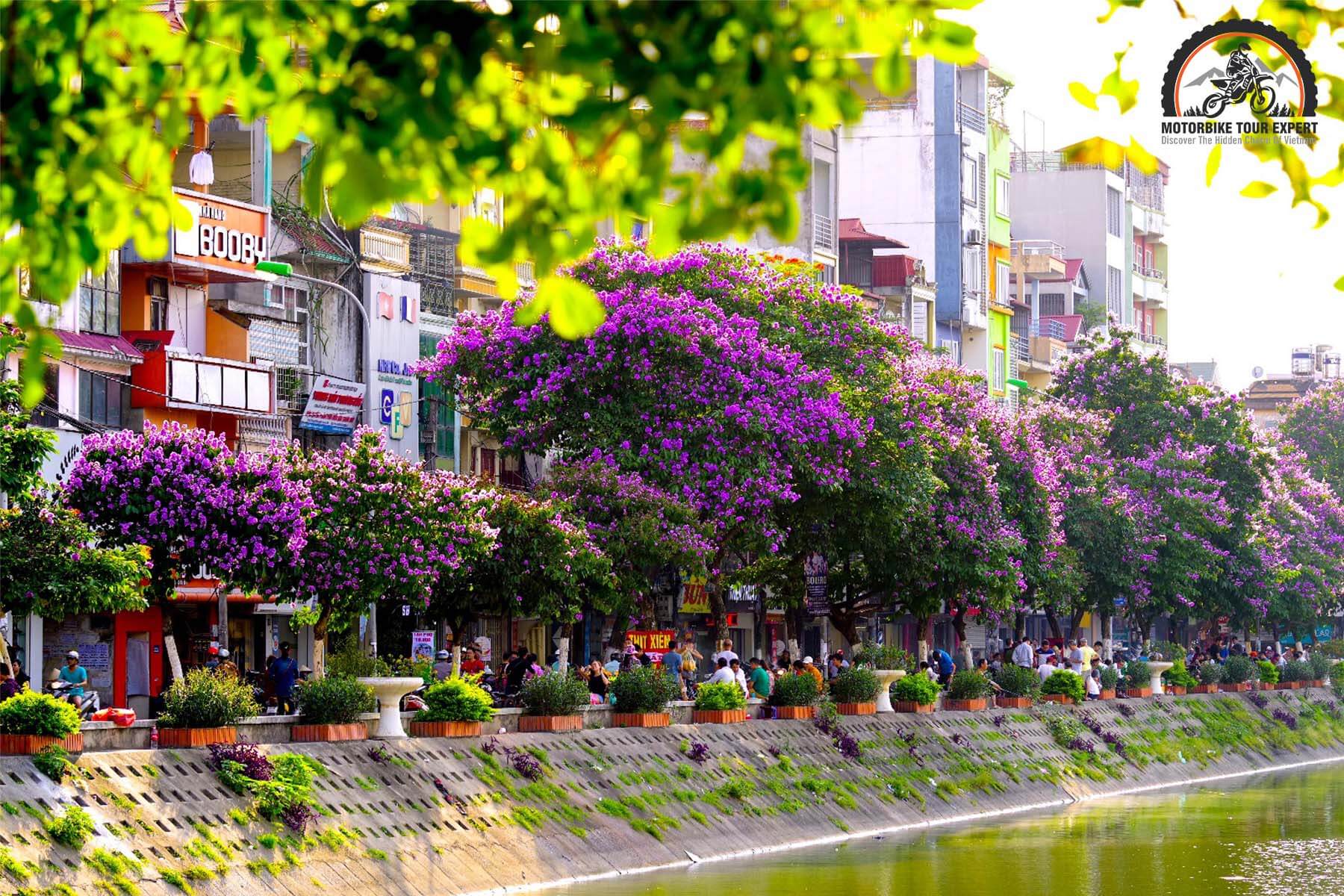 Spring - Best Weather in Hanoi