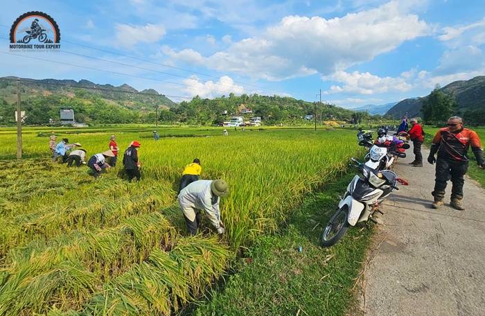 Ninh Binh is an unforgettable place when coming to Northern Vietnam motorbike tour