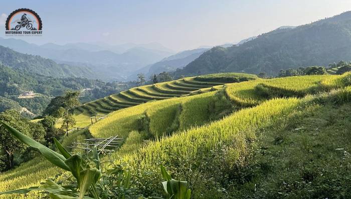Rice terrace in Hoang Su Phi, Ha Giang