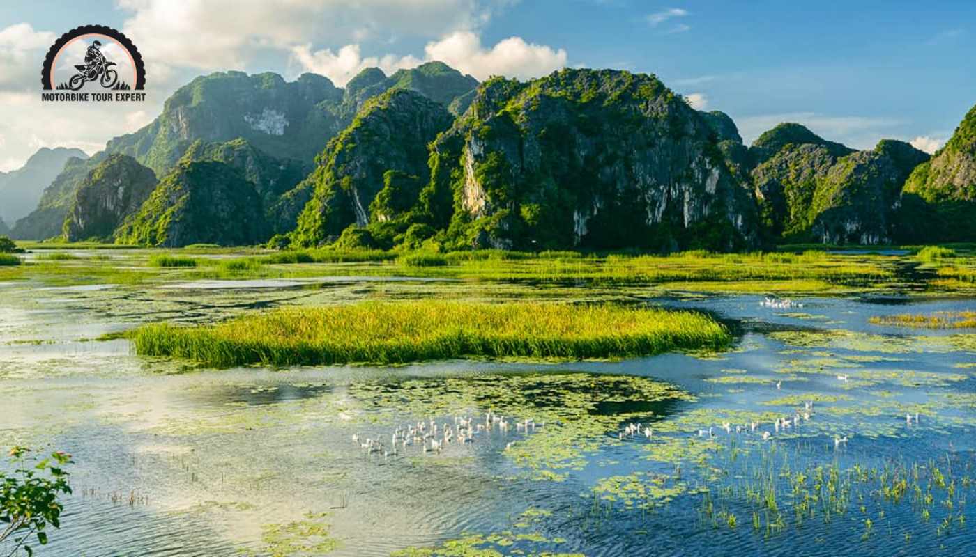 Discover the Enchanting Van Long Nature Reserve - Popular attractions in Ninh Binh