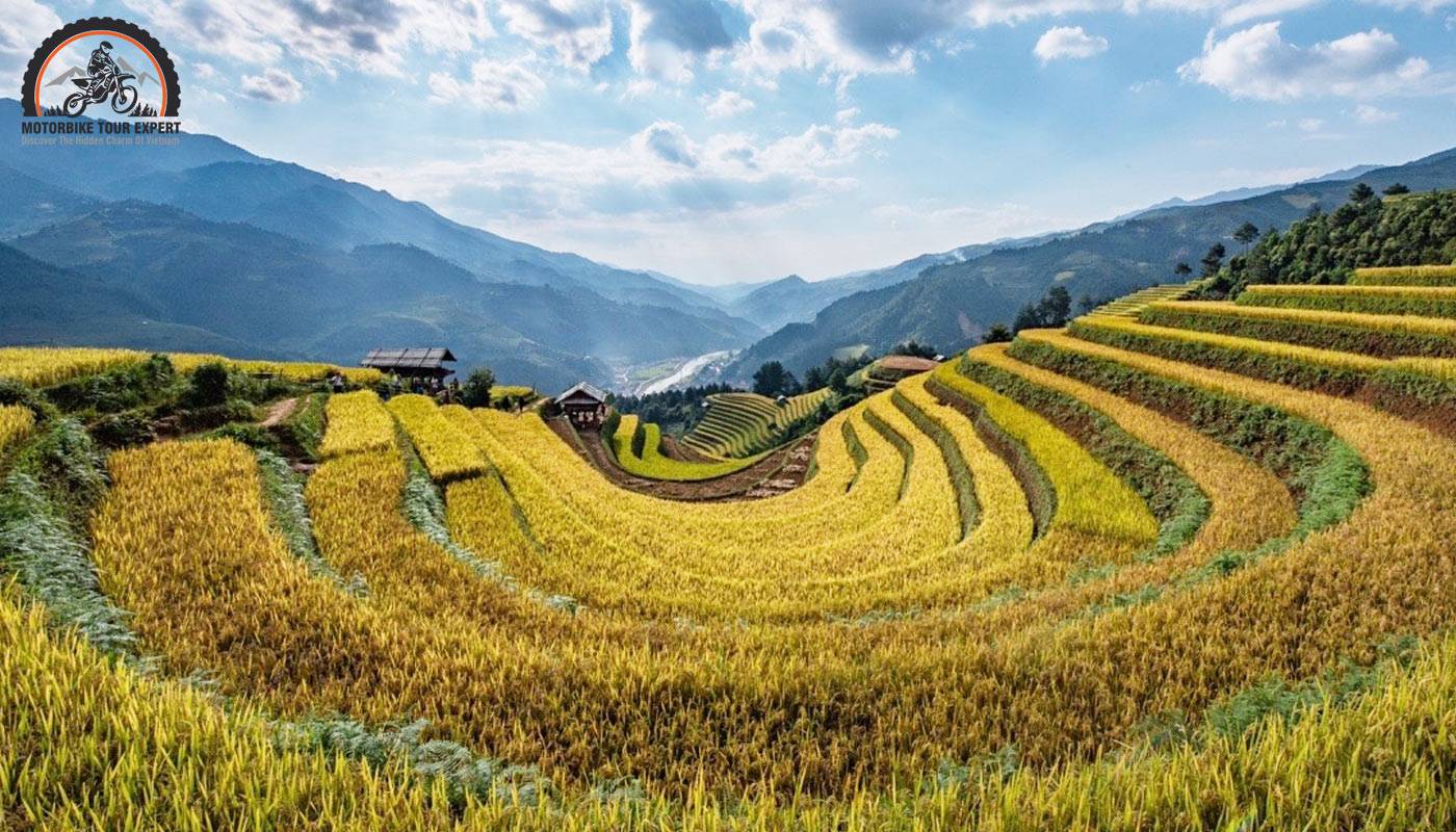 Explore Horseshoe Hill, an ethereal natural space in Mu Cang Chai
