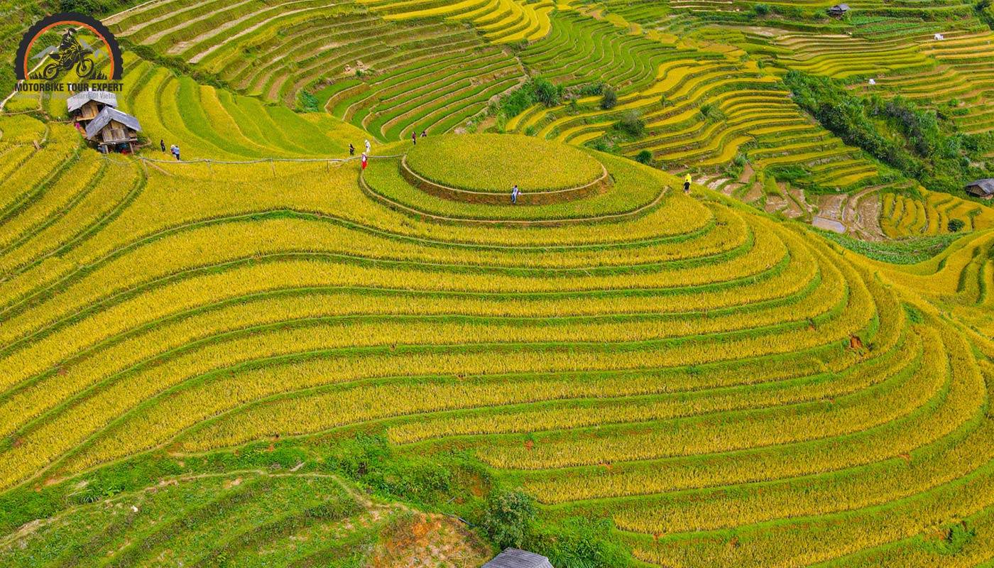 Fascinated by the beauty of stunning Mu Cang Chai golden rice terraces