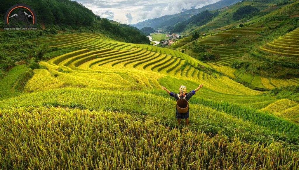 Mu Can Tea Mu Cang Chai Motorbike Tours: Unveiling The Stunning Beauty