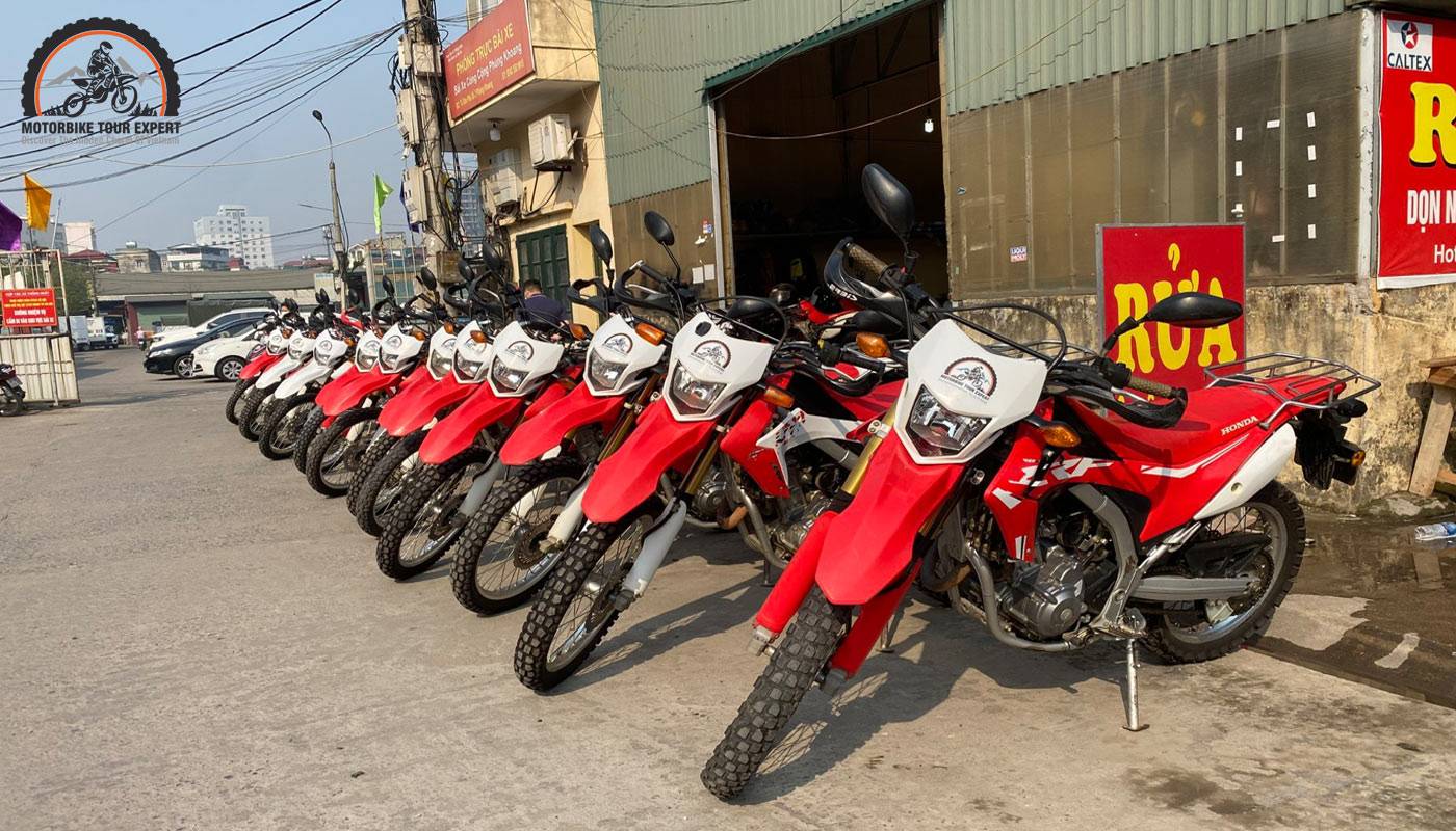 New perfect-condition bikes to join Hoi An Motorbike Tours