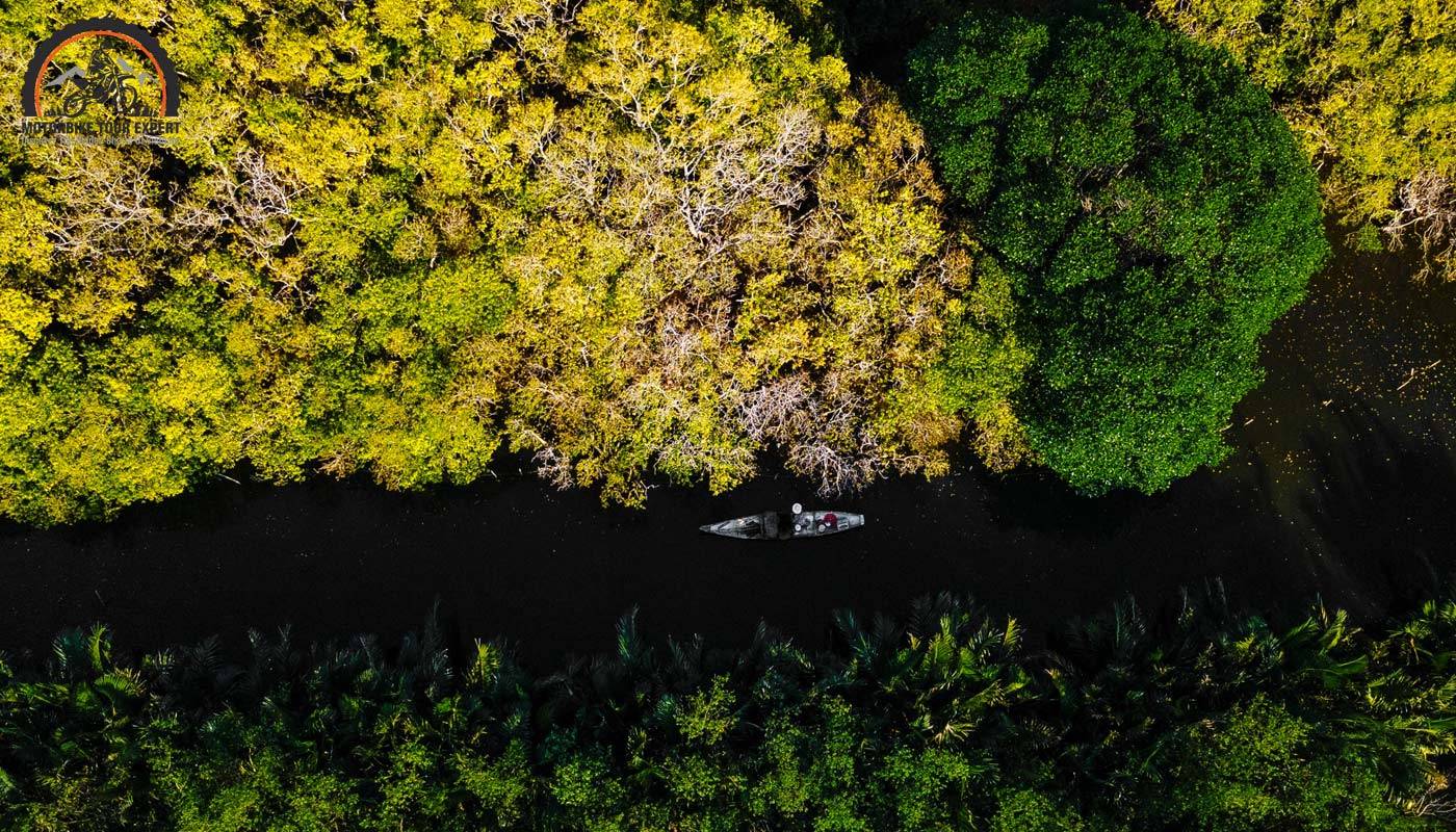 The beauty of Ru Cha mangrove forest in the fall