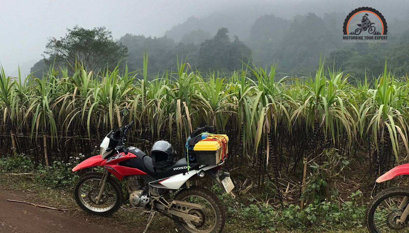 How to prepare for a perfect motorbike tour Mai Chau Valley