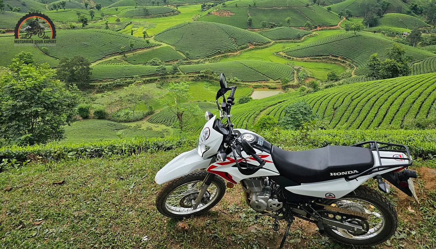 Moc Chau Plateau motorbike tours for nature lovers
