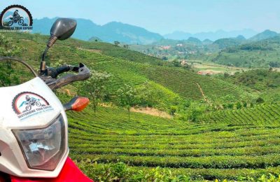 Join Moc Chau Motorbike Tour is the Best things to do in Moc Chau