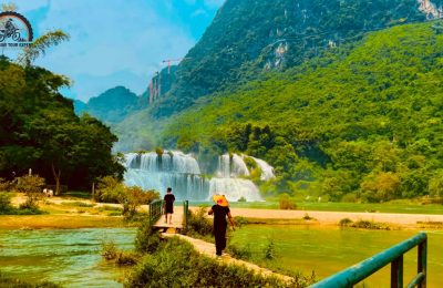 Harvest season is the best time to join Ban Gioc Waterfall Tours to see golden rice