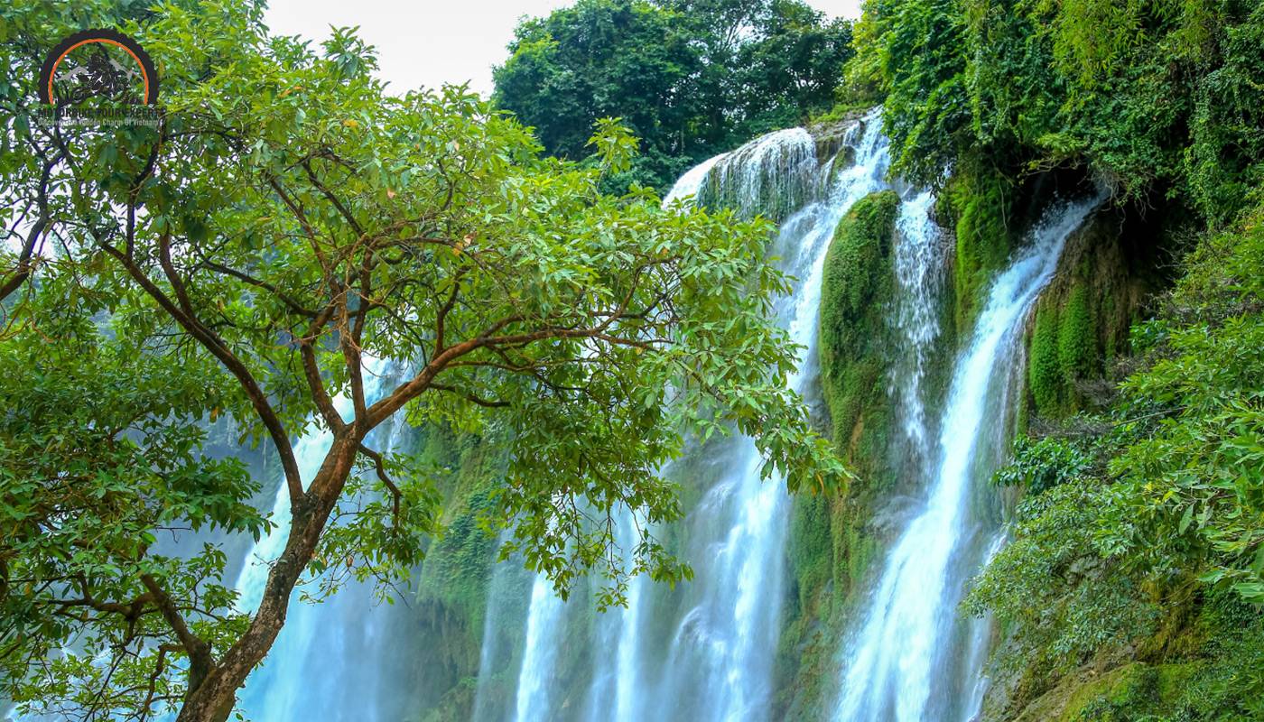 The best time to join Ban Gioc Waterfall Tours is flower season