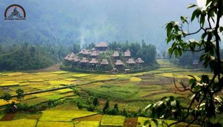 The best time to join Mai Chau Valley Tours is from August to November