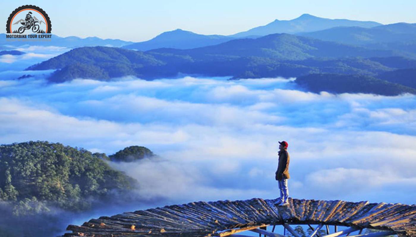 Cau Dat Hill is famous for enormous area and endless green tea fields