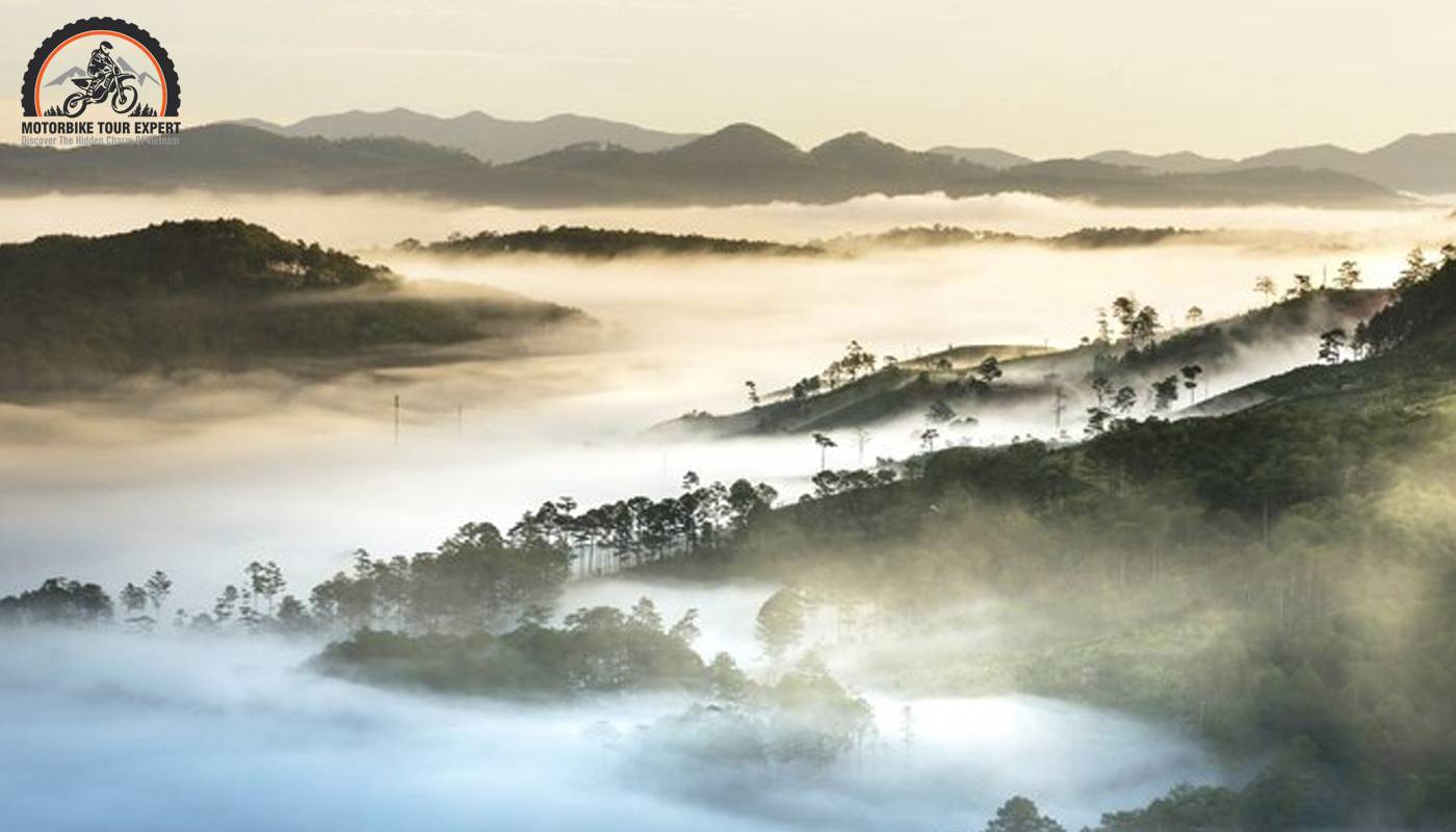 Thien Phuc Duc Hill has a majestic beauty