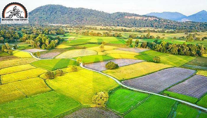 Picturesque Landscapes of Southern Vietnam