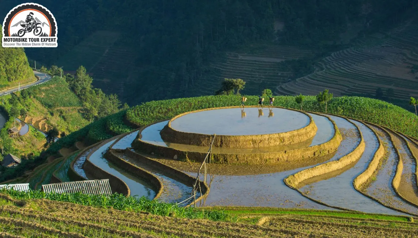 Image Lâm Khánh Chi image beautiful image beautiful image beautiful image beautiful image beautiful image beautiful image beautiful image beautiful image beautiful - Exploring Vietnam Rice Fields: 12 Must-See Wonders