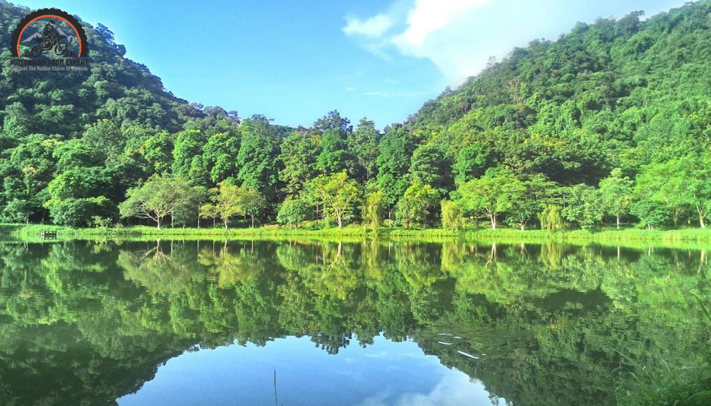 Cuc Phuong National Park is an interesting tourist destination that must be visited when traveling to Ninh Binh