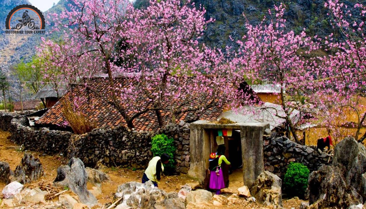 Ethnic village in spring