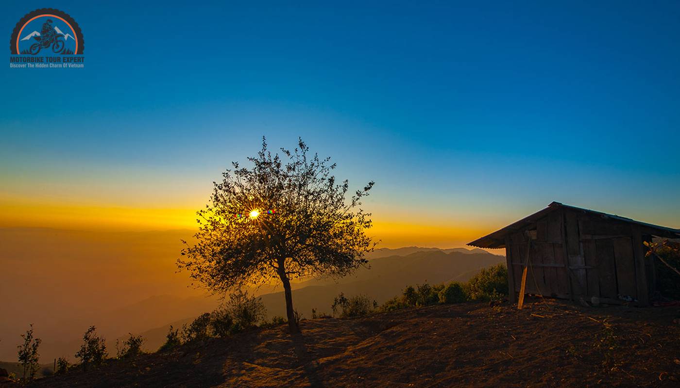 Lonely Docynia tree in Ta Xua Mountain 2024