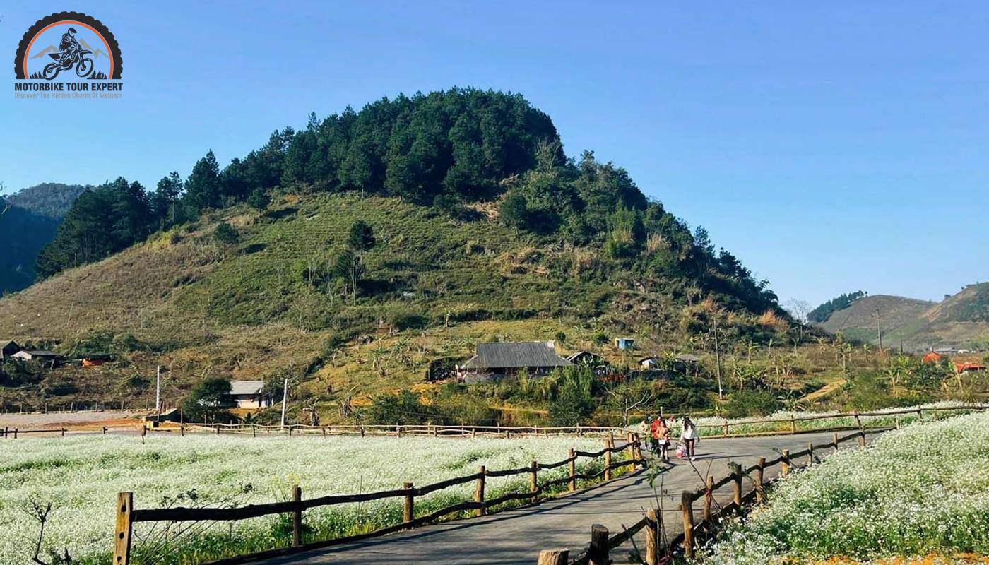 Visit the peaceful Hua Tat village in the middle of Son La mountains and forests