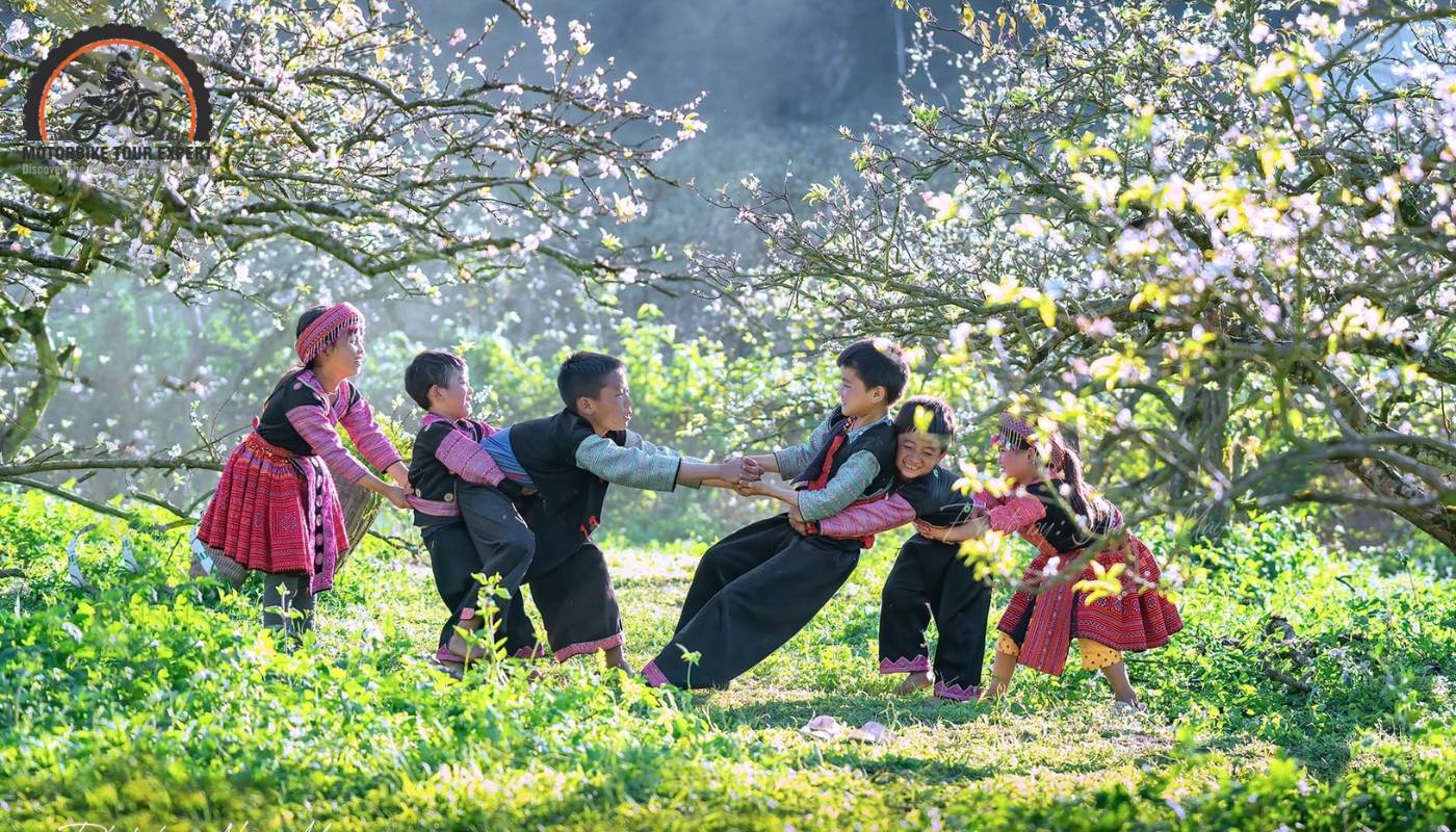 Moc Chau's festivals weave together the diverse cultural traditions of the region.