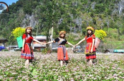 Heritage Alive: Ha Giang Traditional Festivals