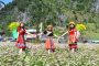 Heritage Alive: Ha Giang Traditional Festivals