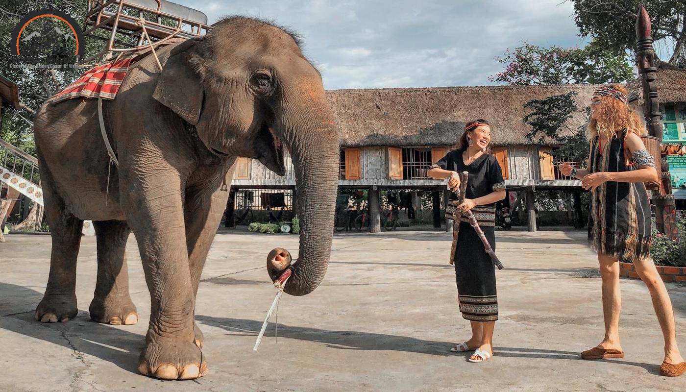 You will have the opportunity to ride an elephant to explore local daily life