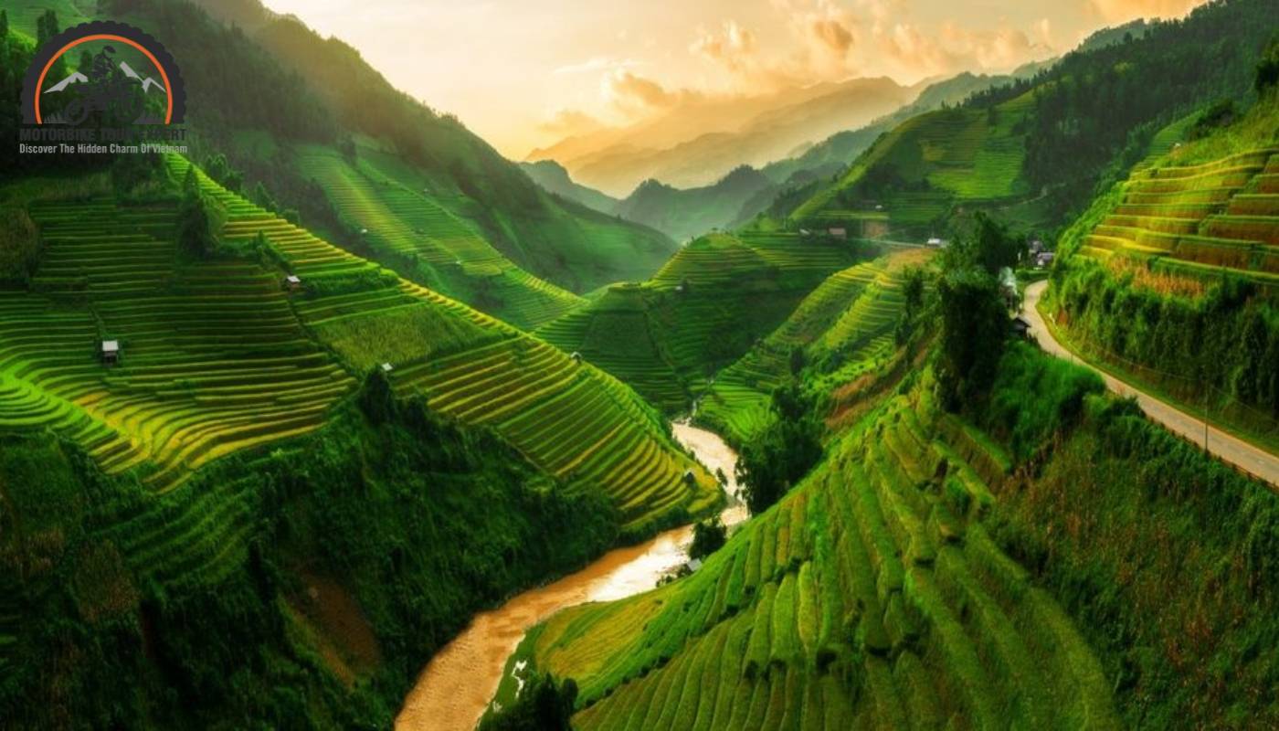 Verdant terraced curves basking in fiery Sapa valley sunset