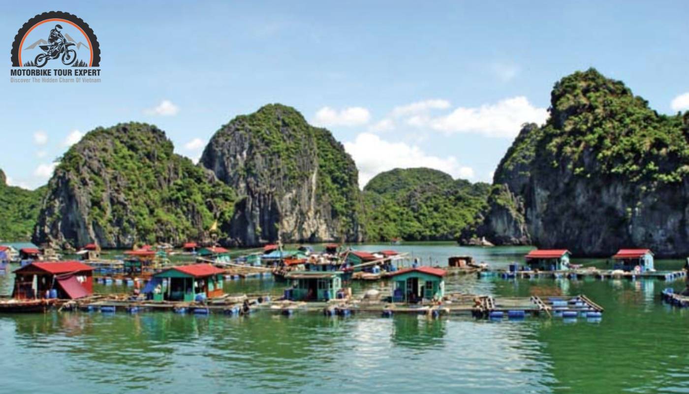 Vibrant floating houses on the tranquil waters of Lan Ha Floating Village
