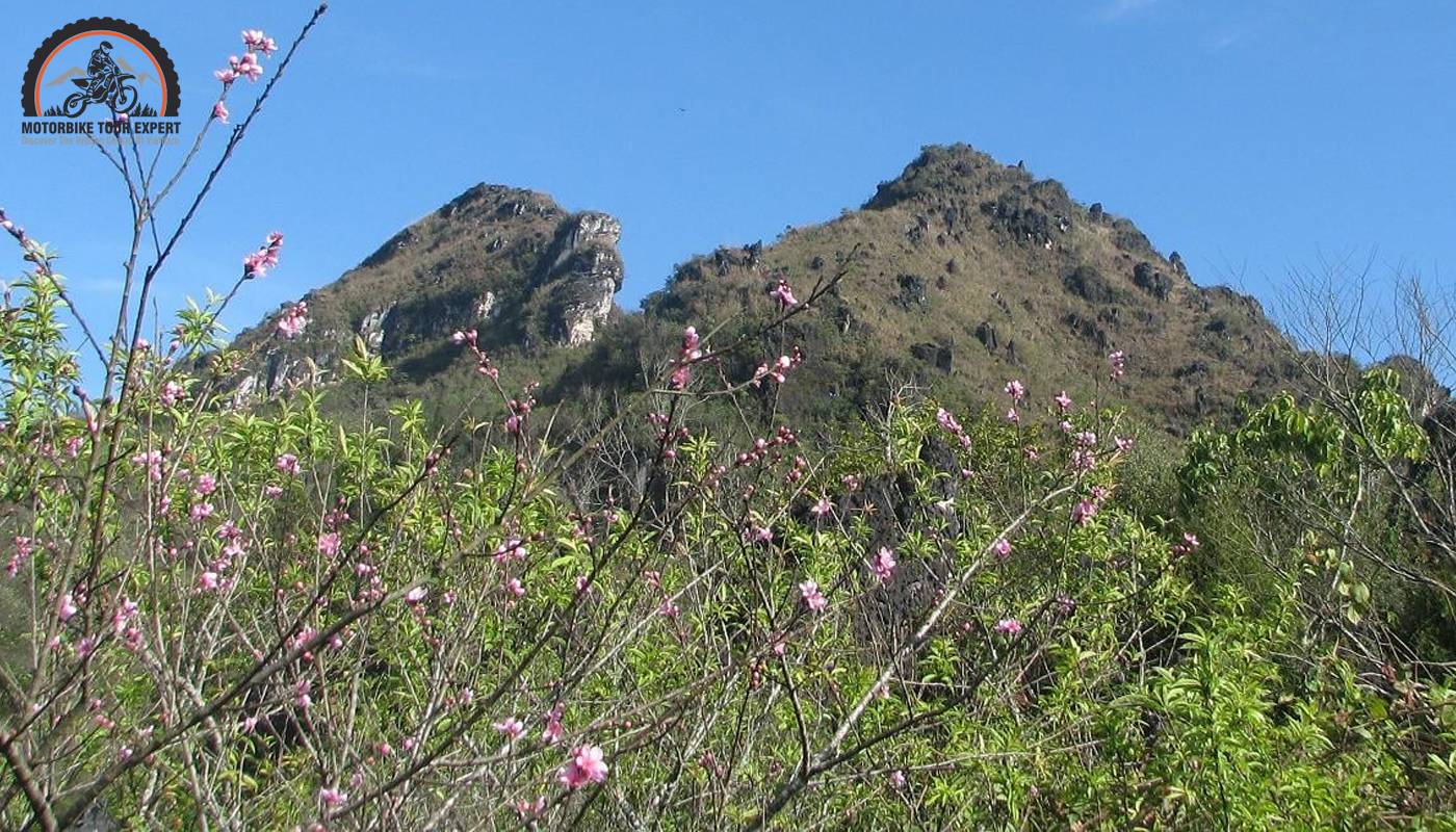 Nature's embrace awaits in Ham Rong's verdant oasis