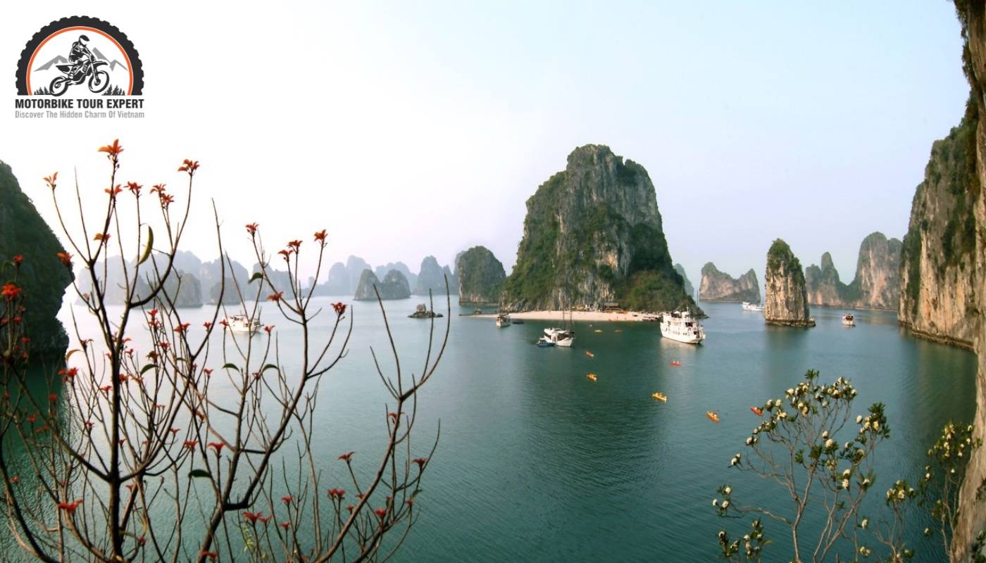 Spring is the time when Ha Long Bay blossoms with vibrant beauty