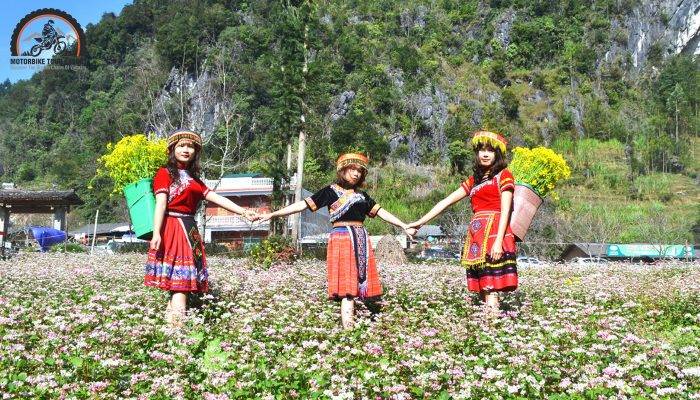 Heritage Alive: Ha Giang Traditional Festivals|Ceremony to worship the Forest God of Pu Peo people in Ha Giang – Cultural beauty that needs to be passed down|Experiencing the Spring Festival of the Lo Lo ethnic group during your Ha Giang motorbike tour|Join the Ha Giang motorbike tour to feel the uniqueness of this festival|Khau Vai Love Market is one of the famous Ha Giang traditional festivals|The Red Dao people’s granting ceremony implies concepts of education and philosophy of life|The Tay People’s Moon Festival is usually held on the 15th day of the 8th lunar month|The young men in the village will begin to ask for the power of the gods to “enter the medium” and jump into the burning fire|Top unique festivals in Ha Giang are a unique highlight in your journey of discovery|Visitors will have the opportunity to get closer to the cultural identity and life of the villagers here through the festival|The broader view of traditional festivals in Ha Giang