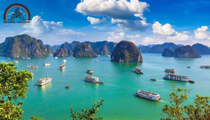 Discover the Best Things to Do in Halong Bay: A Traveler’s Guide|Bai Chay is another famous relaxing place for young motorbikers|Essential tips for a memorable Halong Bay motorbike trip|Exploring the culture and tranquil atmosphere in local villages|Get accommodation in Vinpearl Resort and Spa Halong|Get swimming with turquoise beach and white sand in Halong|Ha Long Bay Caves stand out for magnificent natural beauty|Lan Ha Bay is a perfect location to go climbing|Many motorbike travelers like to kayak on Mat Rong Island|Motorbike enthusiasts can enjoy the scenes by taking a boat|Motorbike lovers make sure not to miss visiting Cua Van Village|One of the bizarre things to do in Halong Bay|Overview of heaven on land Halong Bay|Take unique photos in 3D Funny Art Museum|There are a lot of things to eat in Ha Long Market at night||Ti Top is one of the crowdest beaches|Traversing along the coastal roads in Halong Bay by motorbike|Tuan Chau Island is situated near Halong Bay||Quang Ninh Museum is a popular place for the young