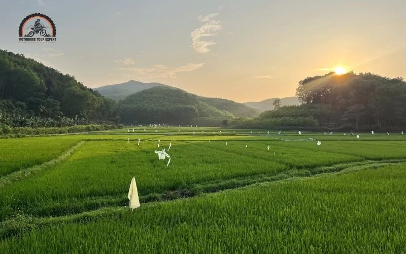 Traditional Agricultural Activities