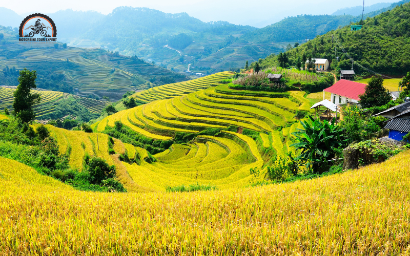The history and cultural significance of terraced fields