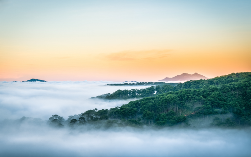 Rainy season in Dalat Vietam