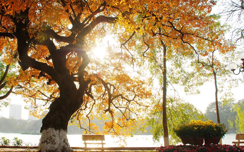 Best time to visit North Vietnam - Autumn