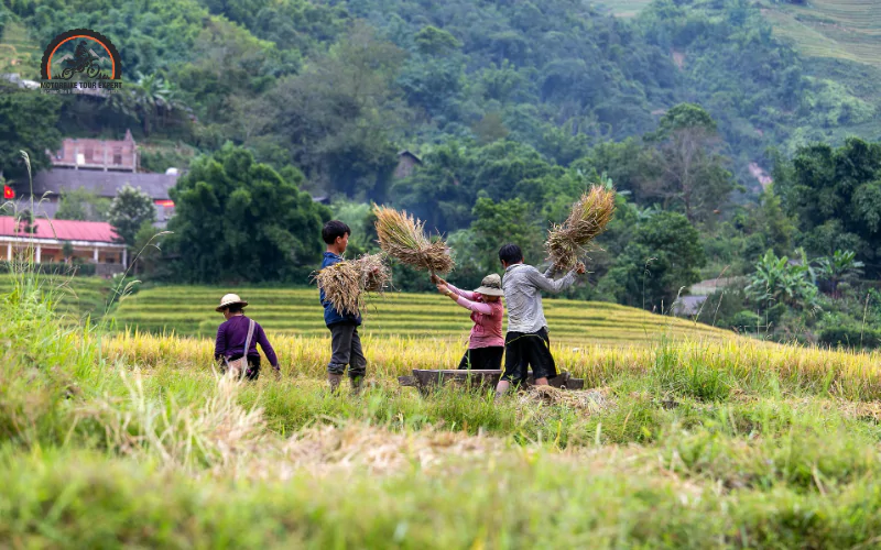 best time to visit Vietnam Sapa