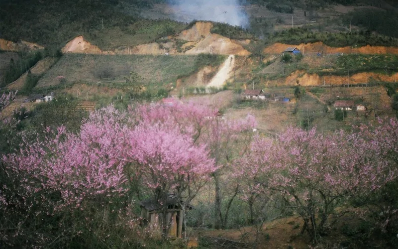best time to visit Vietnam Sapa - Sapa in Spring