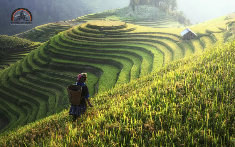 best time to visit vietnam sapa
