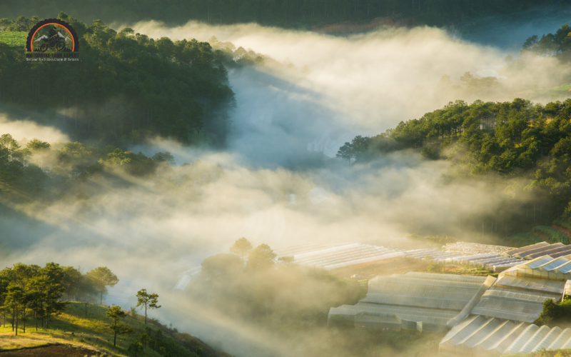 Dalat travel guide - Overview of Dalat
