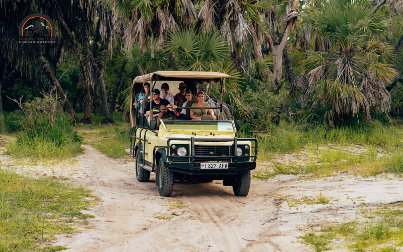 Hai Van Pass jeep tour