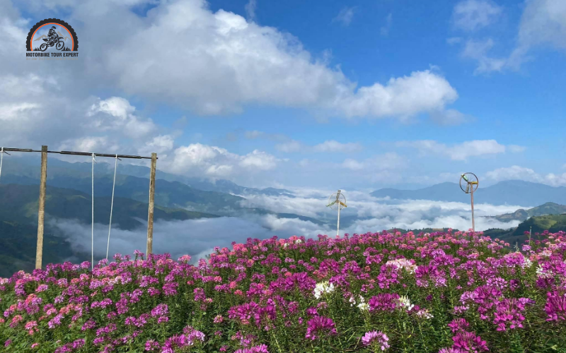 Pha Din Pass Tourist Area
